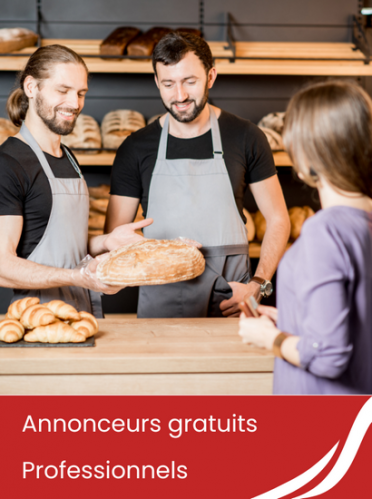 Annonceurs gratuits professionnels secteur molsheim